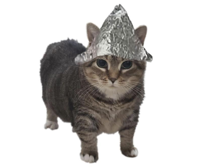 cat with tinfoil hat